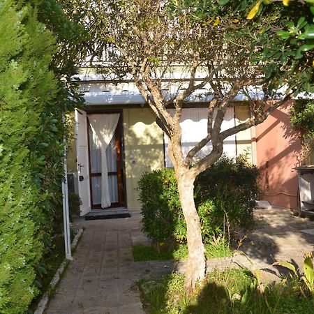 Fantastic Sardinia Villette Con Giardino Fronte Mare Fertilia Faho-Gav01-Gav02 Exterior photo