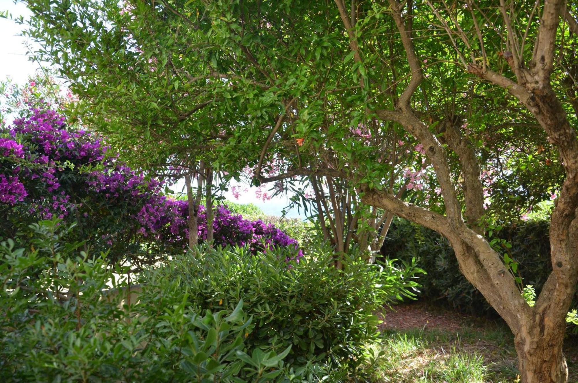 Fantastic Sardinia Villette Con Giardino Fronte Mare Fertilia Faho-Gav01-Gav02 Exterior photo