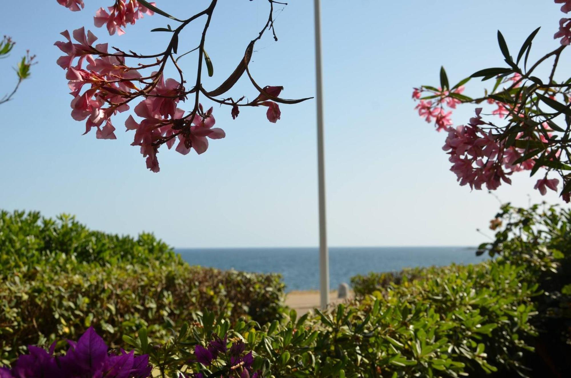 Fantastic Sardinia Villette Con Giardino Fronte Mare Fertilia Faho-Gav01-Gav02 Exterior photo